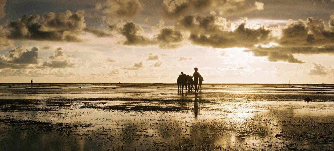 Cooling La Niña could be back, but global temperatures set to rise: WMO